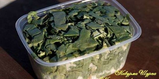 шурпа ковурма