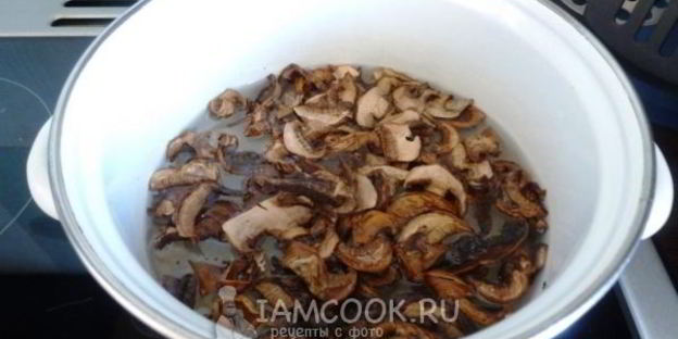 грибная сборная солянка