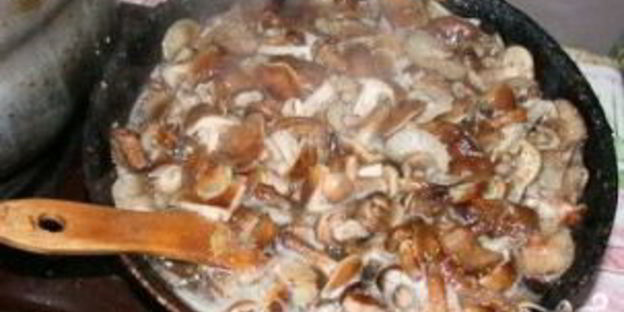 грибная солянка с опятами