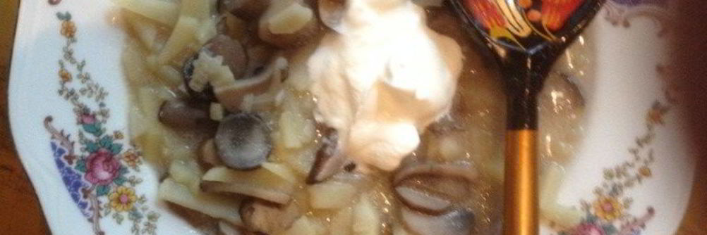 Солянка грибная