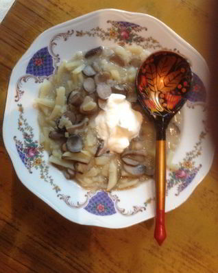 Солянка грибная