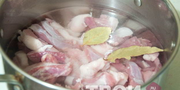 солянка грузинская