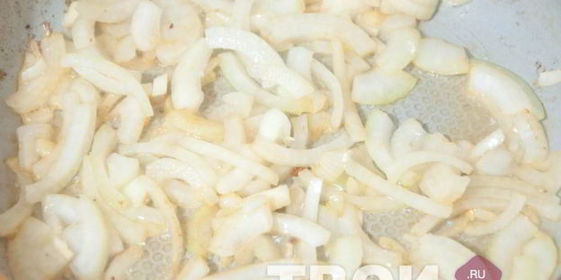 солянка грузинская