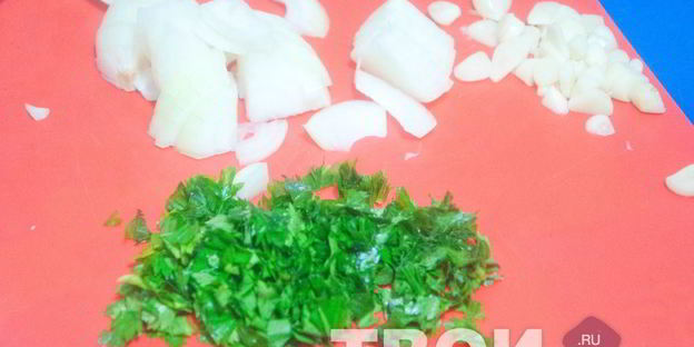 солянка грузинская