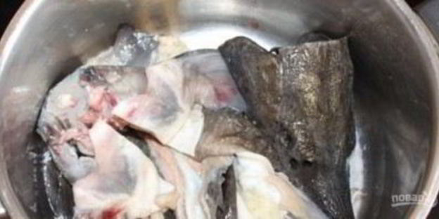 солянка из осетра