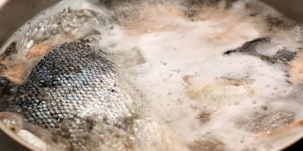 солянка из семги