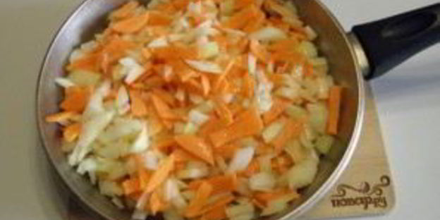 солянка классическая