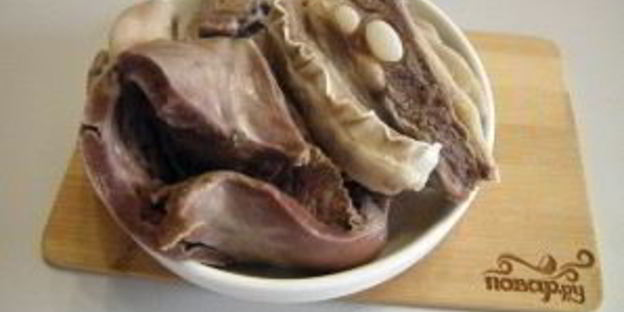 солянка классическая