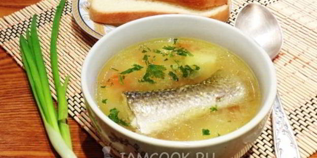 суп из пеленгаса