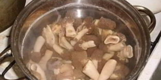 суп из сморчков