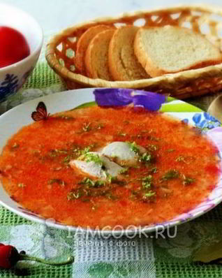 Суп Харчо с индейкой