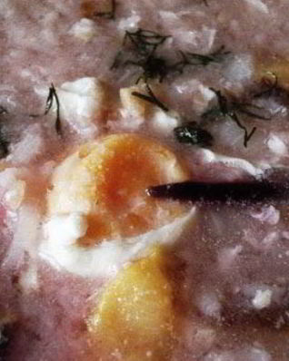 Суп Харчо с яйцом и сливами