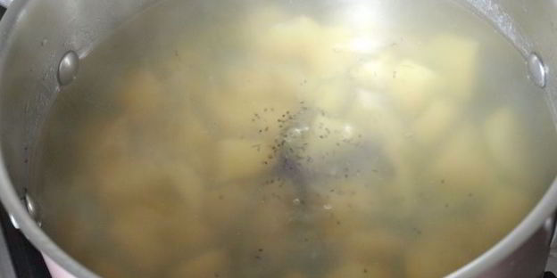 суп мудрости