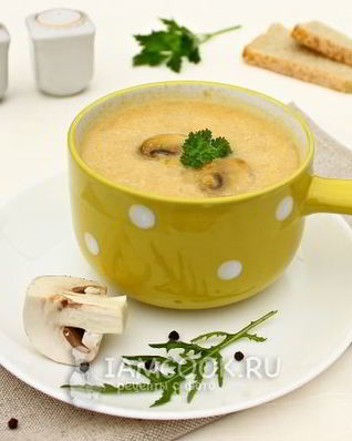 Суп-пюре из курицы и шампиньонов