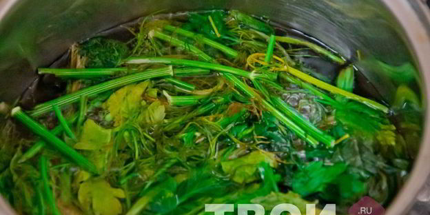 суп пюре из шпината