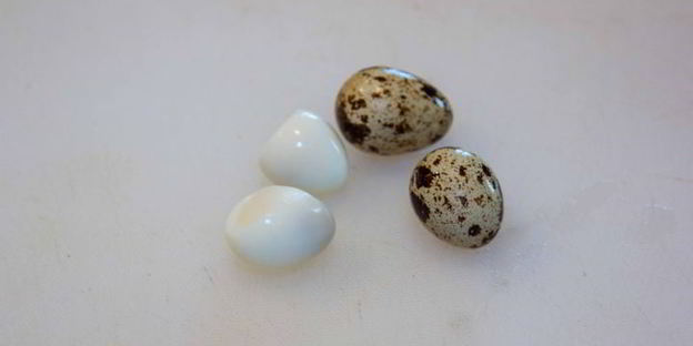 холодный свекольник с ботвой