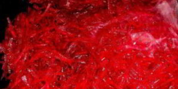 свекольник горячий классический