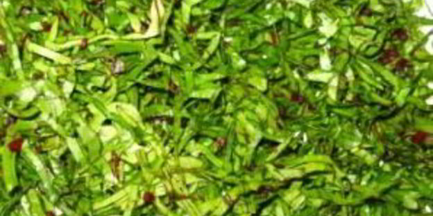 свекольник с ботвой