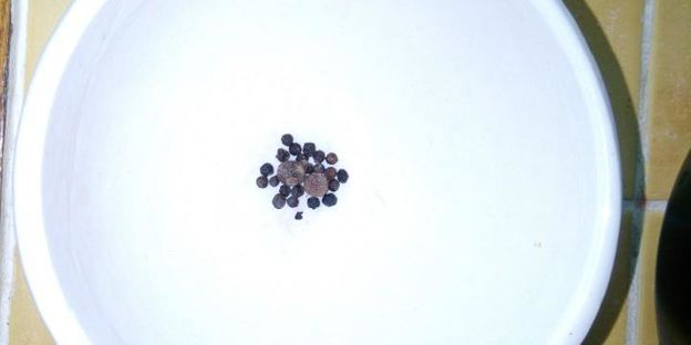 свекольник с говядиной