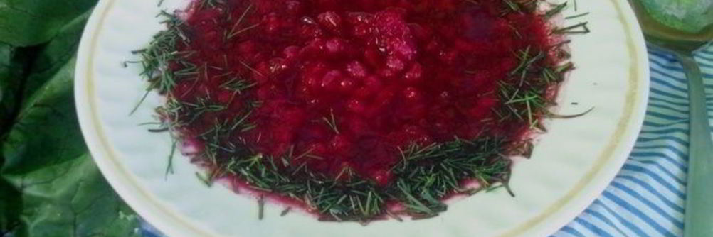 Свекольник с перловой крупой