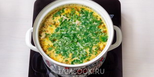 сырный суп из плавленного сыра с курицей