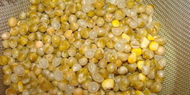 сырный суп с говяжьими ребрами