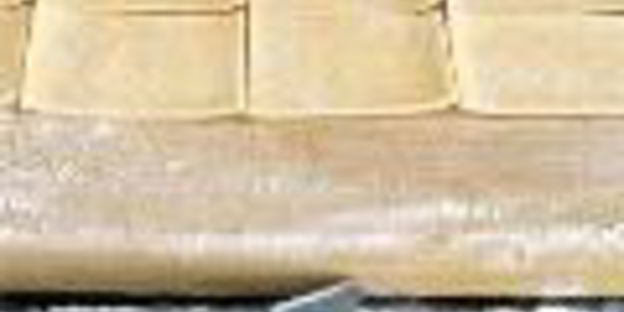 балатонская уха с рыбными пельменями