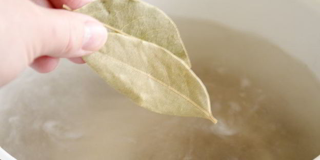 домашняя уха из пангасиуса