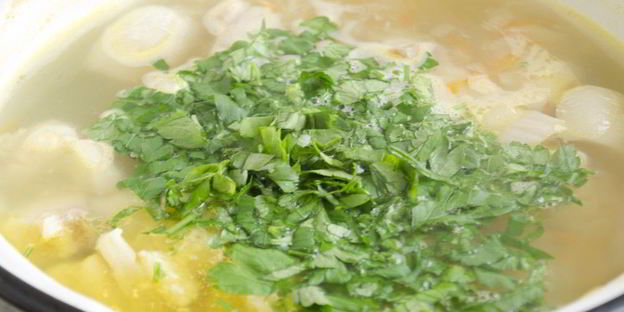 домашняя уха из пангасиуса