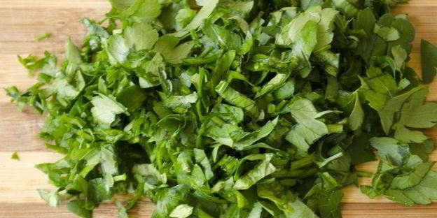 домашняя уха из пангасиуса