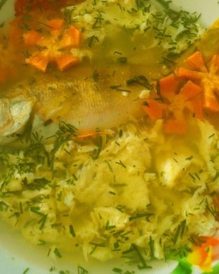 Рыбный суп уха из окуня