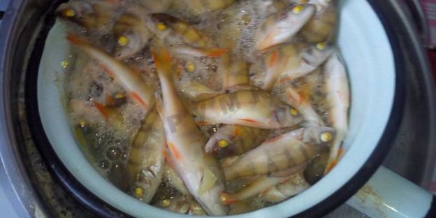 рыбный суп уха из окуня