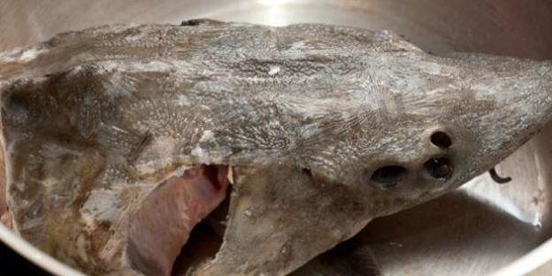 рыбный суп уха из осетра