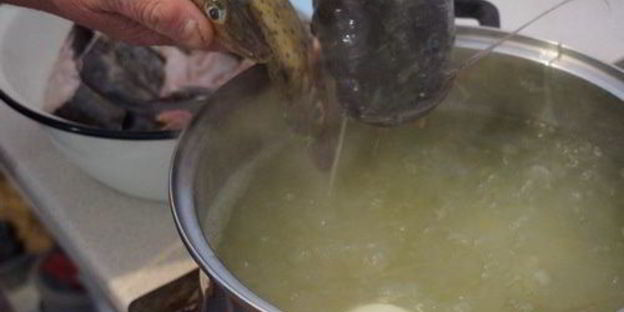 сборная уха из сома и ерша-носаря