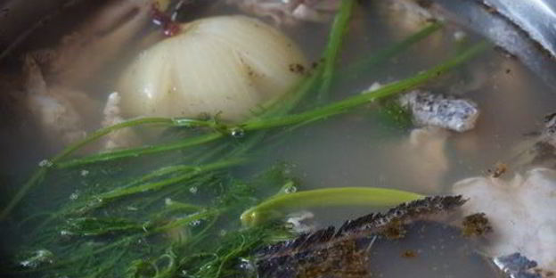 сборная уха из сома и ерша-носаря