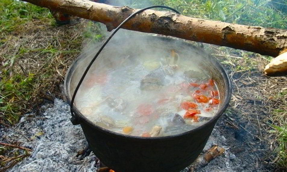 Рецепт ухи из форели на костре