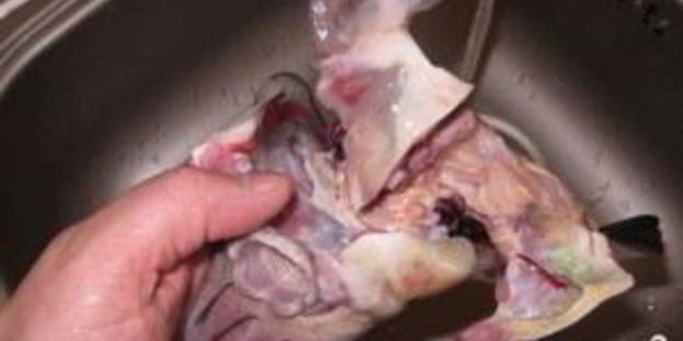 уха из головы осетра