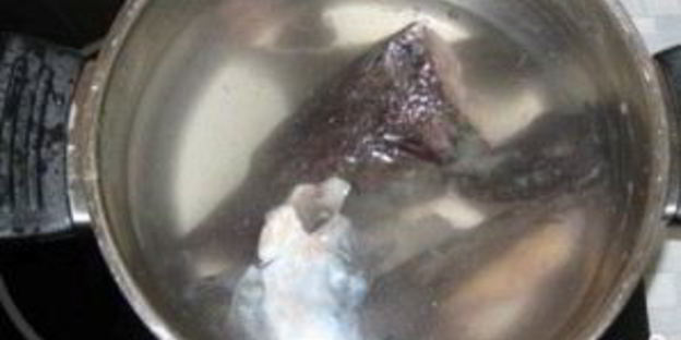 уха из головы осетра