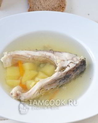 Уха из карпа