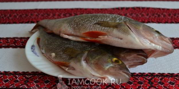 уха из речного окуня