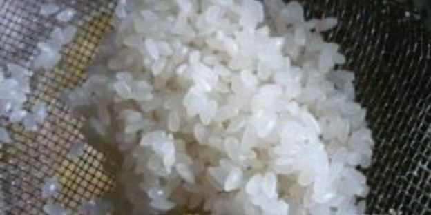 уха из сазана