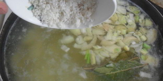 уха из щуки