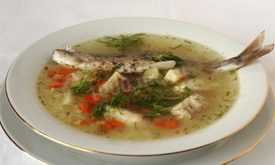 Рецепт ухи из терпуга