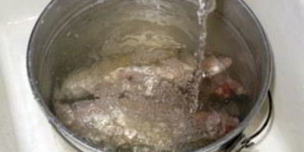 уха на природе