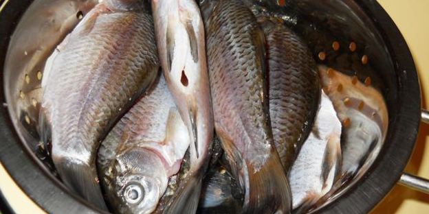 уха по-домашнему