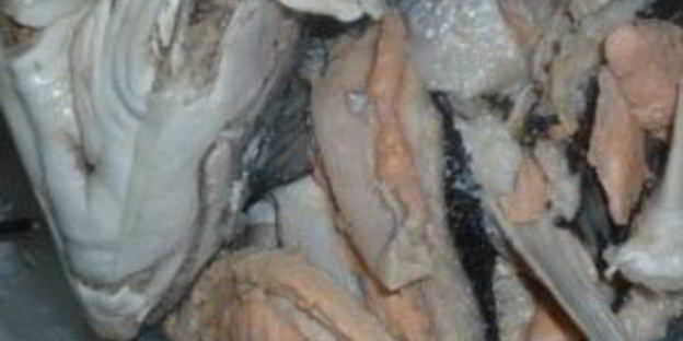 уха с пшеном и картошкой