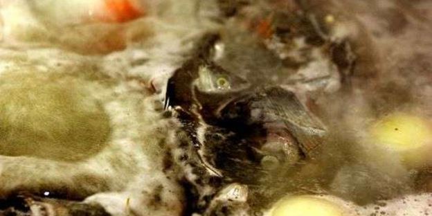 уха с речной рыбы