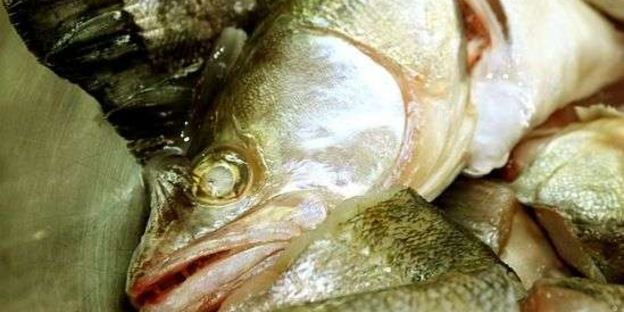 уха с речной рыбы