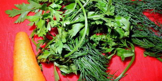 уха с шафраном из осетра