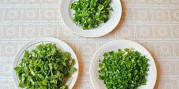 весенний зеленый суп со щавелем